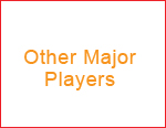 Other Major Players