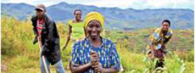 New IFAD-FAO-CTA joint-publication: Youth and agriculture: key challenges and concrete solutions